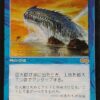 Great Whale – Japanese