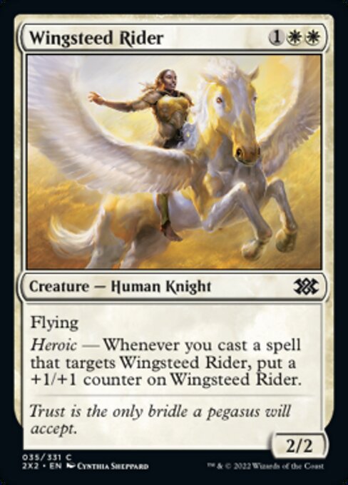 Wingsteed Rider – Foil