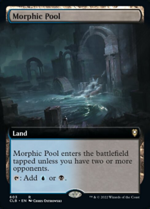 Morphic Pool – Extended Art
