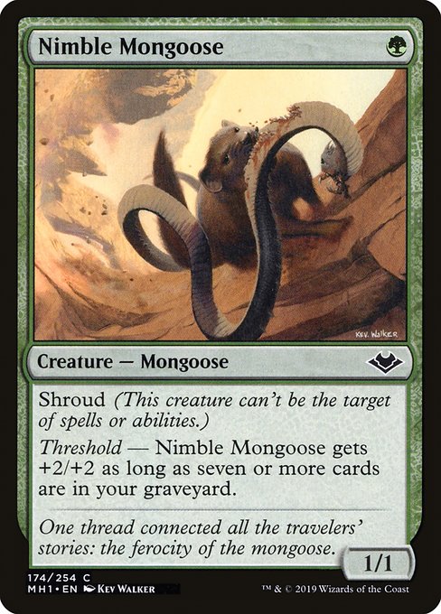Nimble Mongoose – Foil