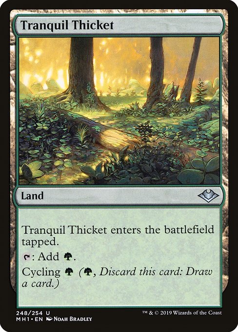 Tranquil Thicket – Foil