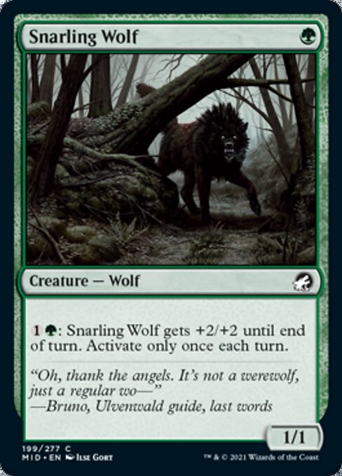 Snarling Wolf – Foil