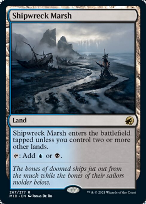 Shipwreck Marsh – Foil