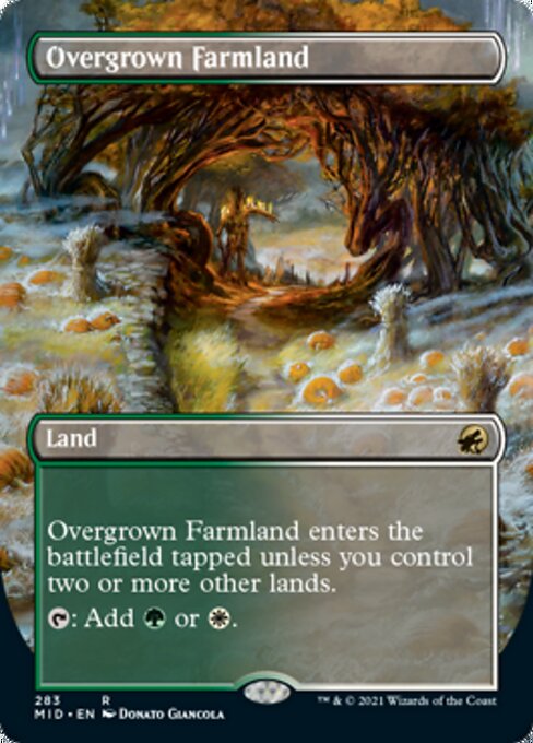 Overgrown Farmland – Borderless – Foil