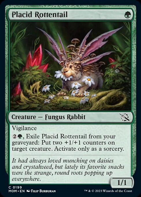 Placid Rottentail – Foil