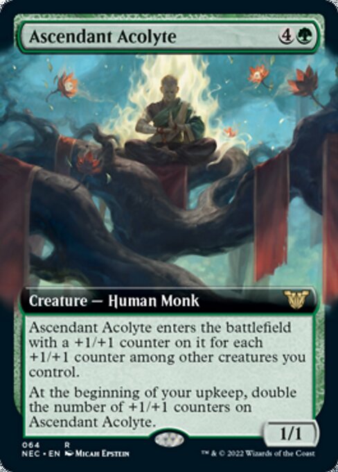 Ascendant Acolyte – Extended Art