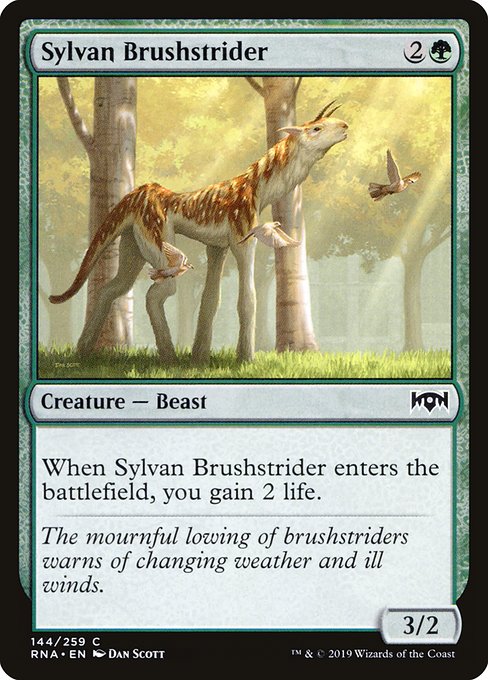 Sylvan Brushstrider – Foil