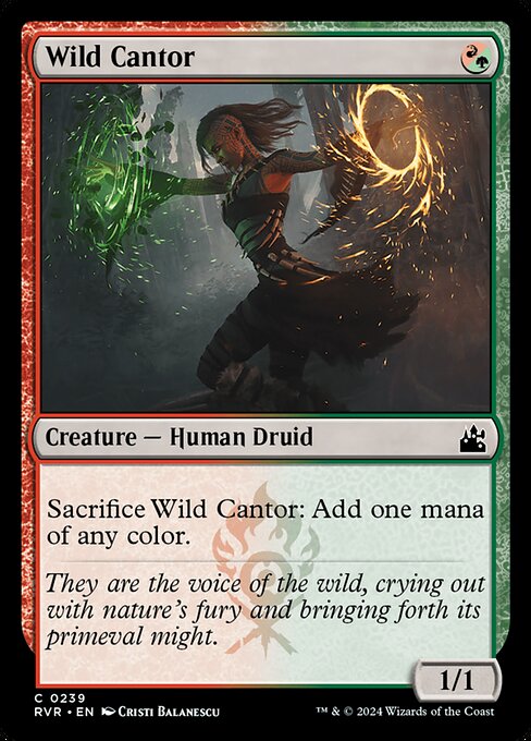 Wild Cantor – Foil